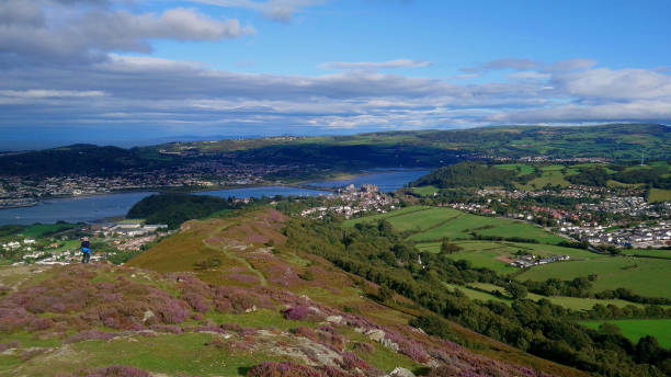 istock View over Conwy town and Conwy river 1285632565