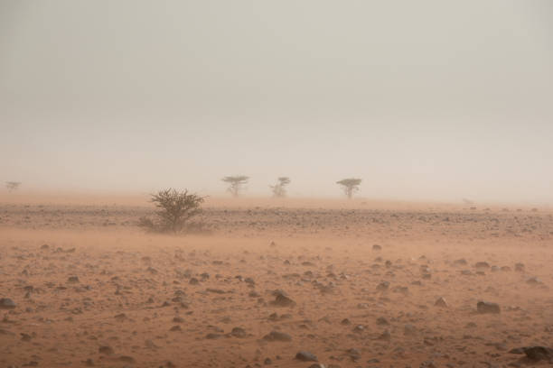 istock Sandstorm in rocky desert terrain. Erg Chigaga، Morocco 1285632841