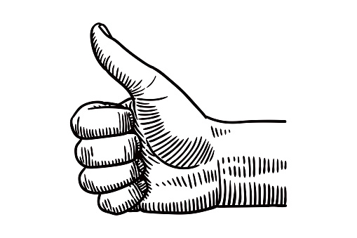 Vector drawing of a hand showing thumb up