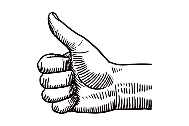 Vector illustration of Vector drawing of a hand showing thumb up