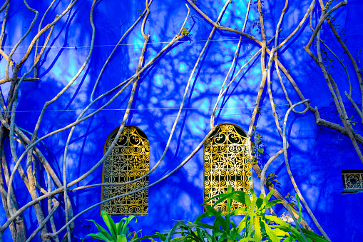 Bright blue wall and complementary yellow windows in the Jardin Majorelle Concept of travel and architecture. Marrakech, Morocco