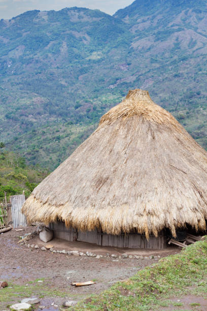 istock a traditional house in Cova lima district, Timor Leste 1285638420