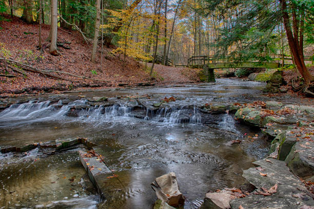istock Wooden Bridge Over a Stream With Waterfall 1285639304