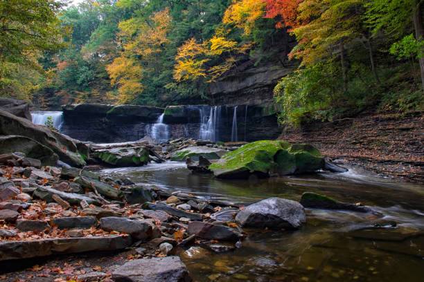 great falls of tinkers creek - november tranquil scene autumn leaf fotografías e imágenes de stock