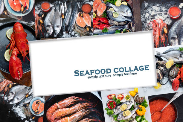 Collage of Fresh fish and seafood. Heathy food concept