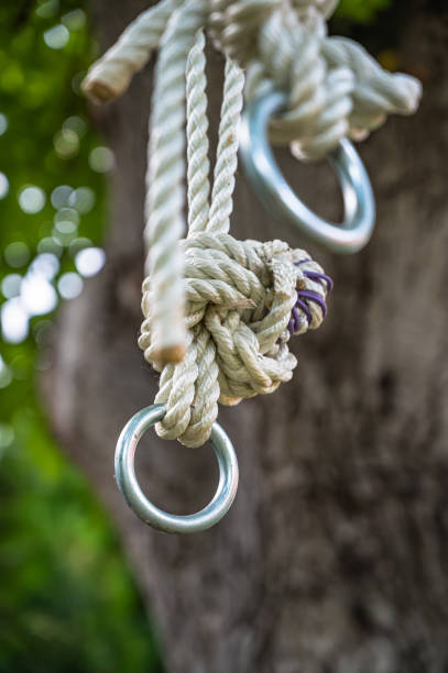 istock A vertical low angle shot of a rope hanging on a tree 1285642193