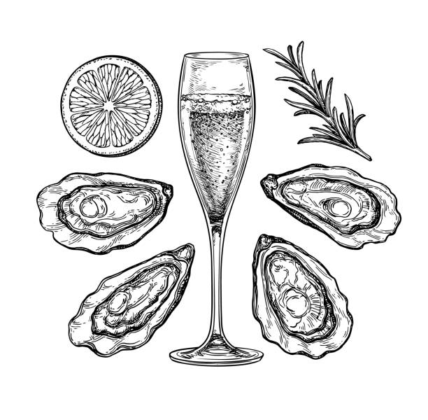 Glass of champagne and oysters. Glass of champagne and oysters with lemon and rosemary. Ink sketch isolated on white background. Hand drawn vector illustration. Retro style. collection clam stock illustrations
