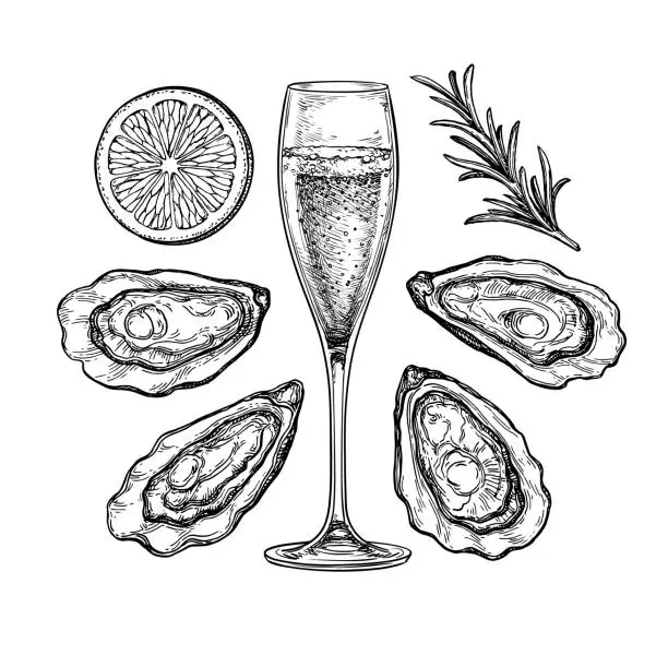 Vector illustration of Glass of champagne and oysters.