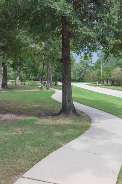 istock Clean s-curved concrete pathway in neighborhood park with tall oak trees suburbs Houston, Texas, USA 1285642449
