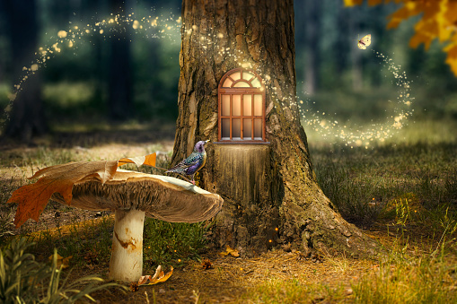 Enchanted fairy forest with magical shining window in tree, bird sitting on mushroom near house and flying magic butterfly with luminous sparkles