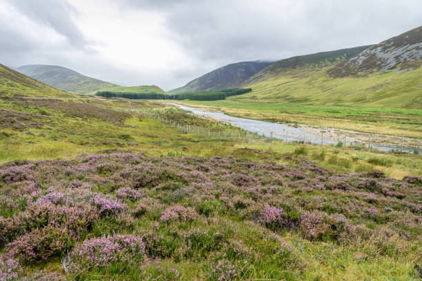 istock Clunie Water, Near Auchallater, Aberdeenshire, Scotland 1285644742