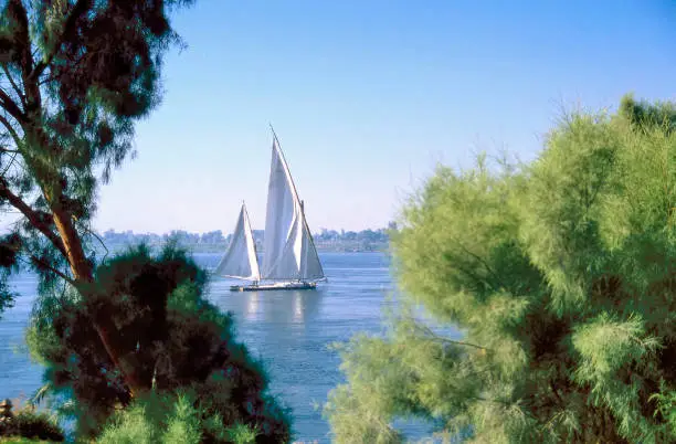 Photo of Egyptian felucca on the Nile