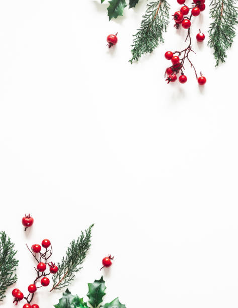 istock Christmas composition. Frame made of christmas plants on white background. Flat lay, top view, copy space 1285648925