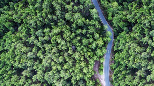 istock Aerial view of beautiful nature 1285651479