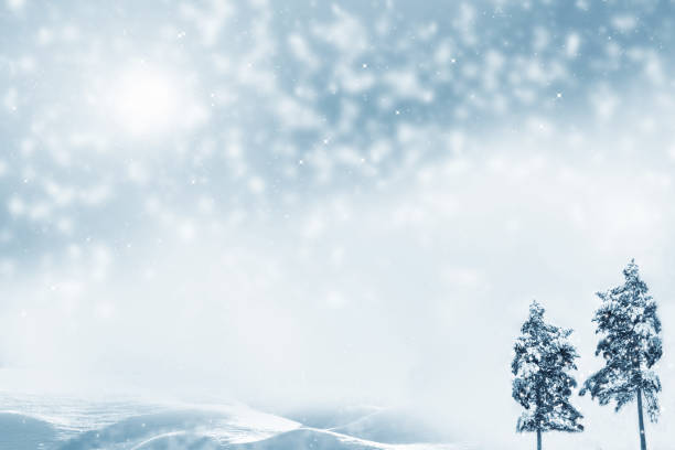 istock winter forest with snow covered trees. outdoor 1285652119