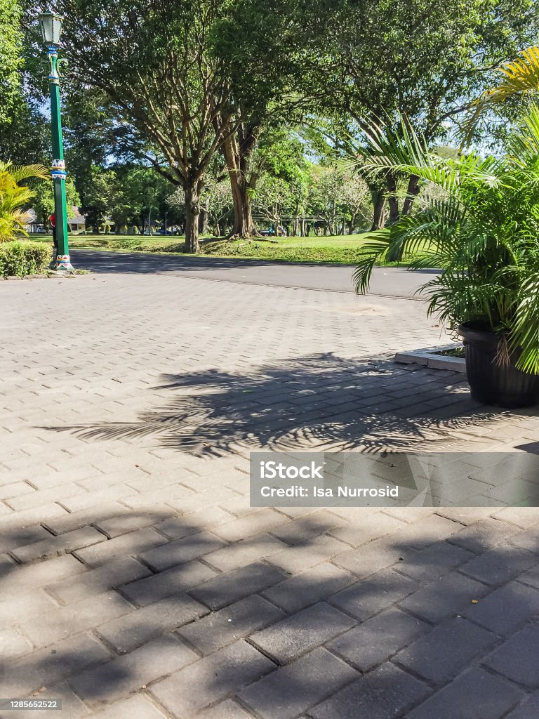 Side Rode Side Road With Trees View And Shadow Stock Photo - Download Image Now ...