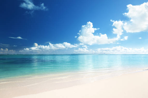 istock tropical beach, Dominican republic 1285653514