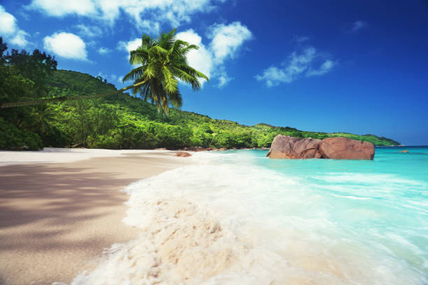 istock Anse Lazio beach at Praslin island, Seychelles 1285653526