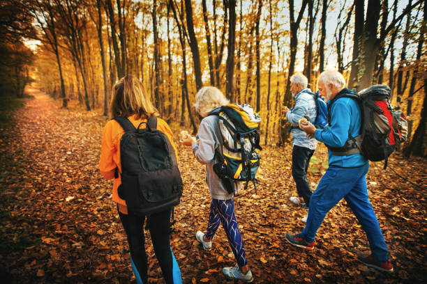 gruppo di escursioni mature attraverso una foresta e fare uno spuntino. - hiking mature adult women senior adult foto e immagini stock