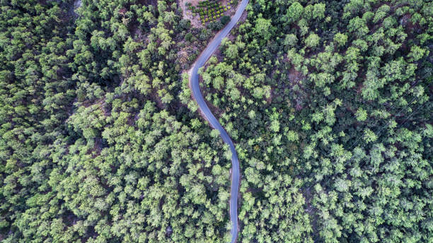 istock Aerial view of beautiful nature 1285655283
