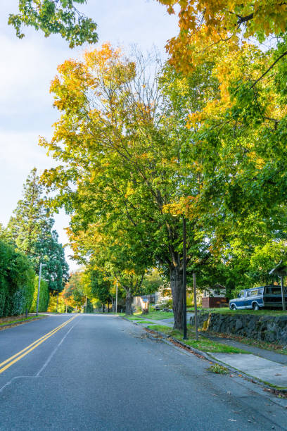istock Burien Street In Autumn 1285657617