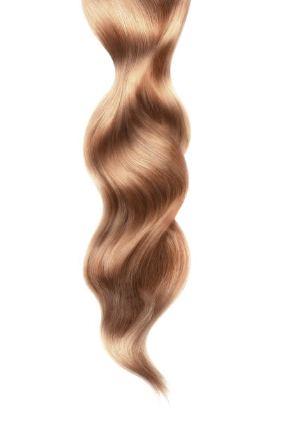 brązowe błyszczące włosy na białym tle, odizolowane - human hair curled up hair extension isolated zdjęcia i obrazy z banku zdjęć