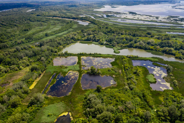 istock aerial view marsh in hungary 1285661037
