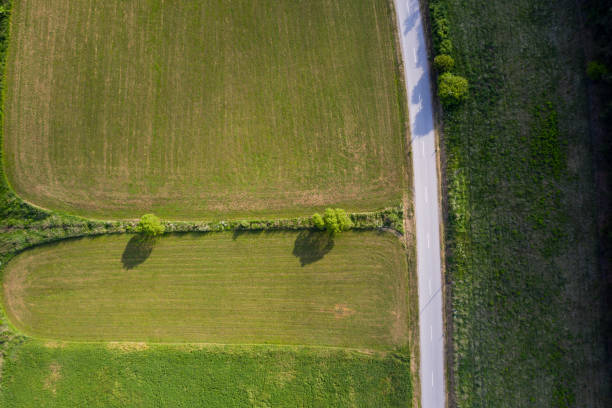 istock top view straight way in summer 1285661751