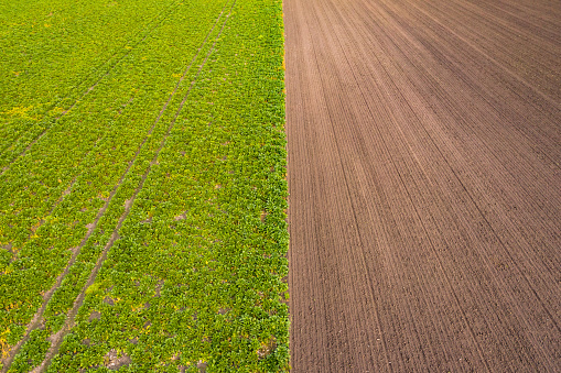 Bird's eye view of tractor tracks in a green field and in a brown field in the south of Germany