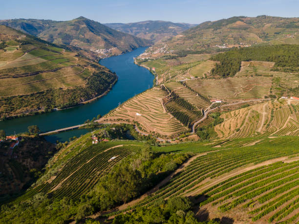 valle del duero cerca de peso da régua - portugal port wine porto the douro fotografías e imágenes de stock