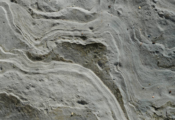 Surface of sea stone mudstone as background