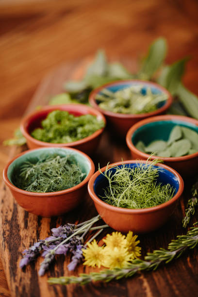 istock Five different tasty herbs on a rustic wooden board with focus on the fennel 1285666531