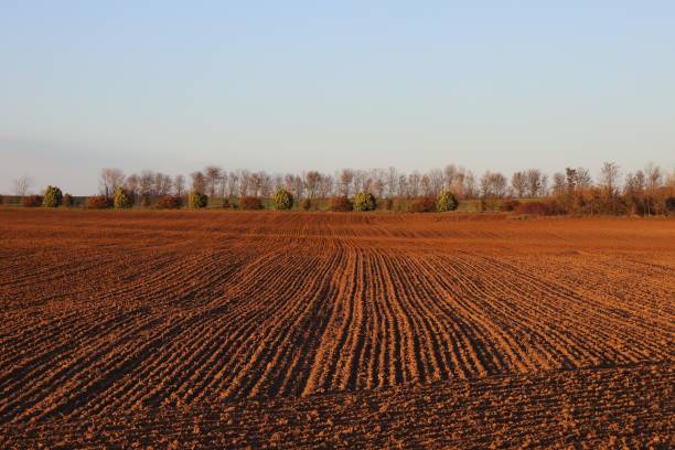 istock Ploughed field in autumn 1285666763