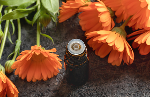 Essential oil bottle with blooming calendula plant