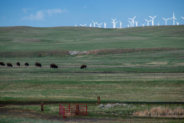 istock Wind turbines under the Wyoming sky 1285669360