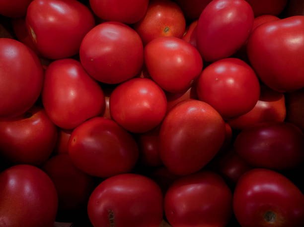 istock Fresh tomatoes from organic food 1285673467