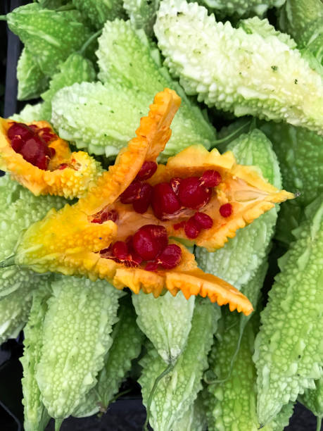 Bitter gourd fruit Fresh bitter gourd fruit vibrant color lifestyles vertical close up stock pictures, royalty-free photos & images