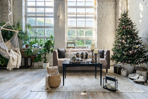 Cozy living room with comfort sofa, coffee table near christmas tree and house plant close to rope swing. Concept of new year decoration in apartment with loft interior design