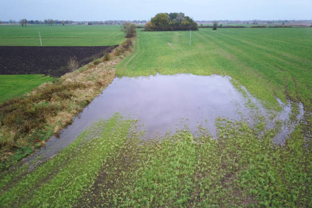 istock A grassy field with a puddle in the middle 1285681602