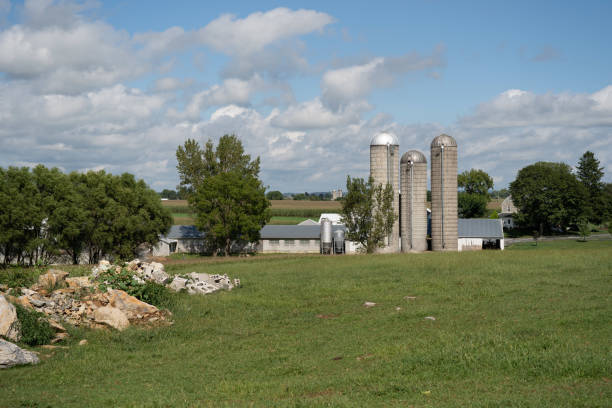 istock Dairy Farm in Lancaster County 1285683639