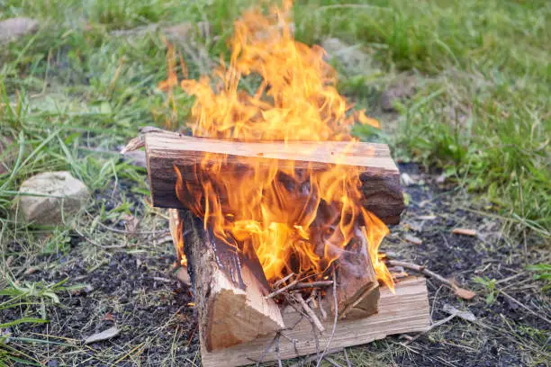 split logs burning in camp fire