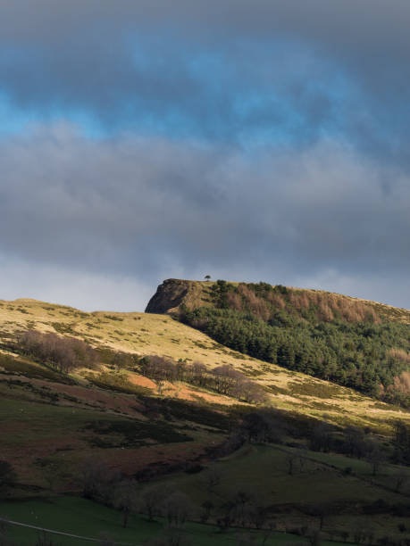 istock Back Tor Scots Pine picked out in the sunlight between the clouds 1285690126
