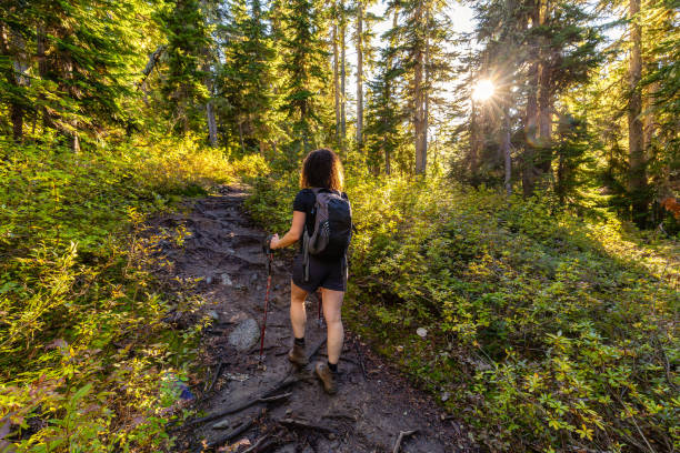 istock Girl Hiking along Scenic Trail on a Fall Evening 1285693357