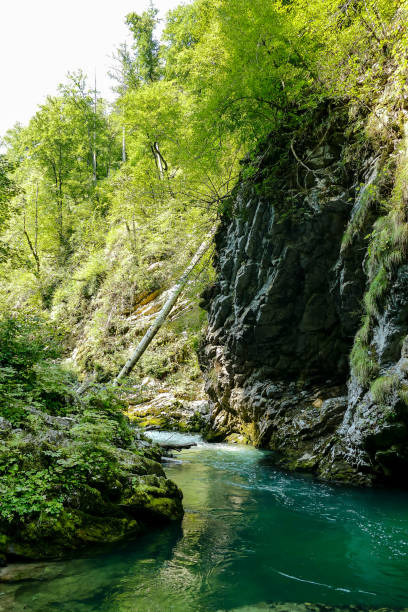istock waterfall in deep forest, digital photo picture as a background 1285695396