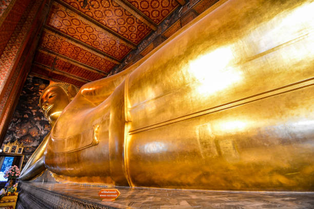 el buda reclinado en wat pho ,pho temple en bangkok, tailandia, asia - wat pho fotografías e imágenes de stock