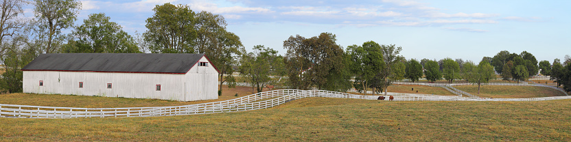 Lexington, Kentucky, USA - October 3, 2019: Kentucky panoramic rural scene. The countryside surrounding the city of Lexington is known as the Bluegrass region of Kentucky - characterized by its rolling hills, fertile soil and horse farms. The region has been a center for breeding thoroughbred race horses since the 1800’s.