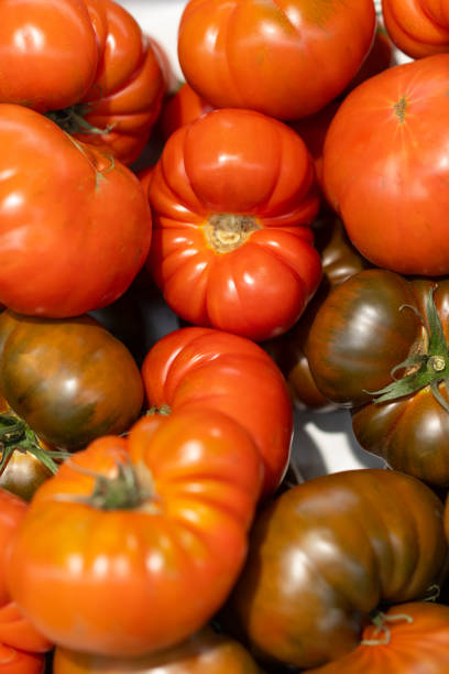 istock eye-catching delicious fresh red tomatoes 1285699179