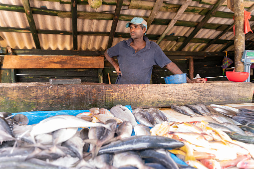 Small local fish market in the town Aluthgama, near Bentota, Sri Lanka.