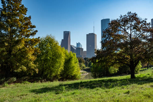 istock Houston Skyline and Eleanor Tinsley Park 1285706709