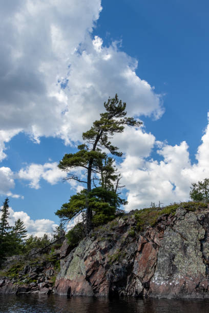 istock Rocks, trees and water on the Bad River 1285709834